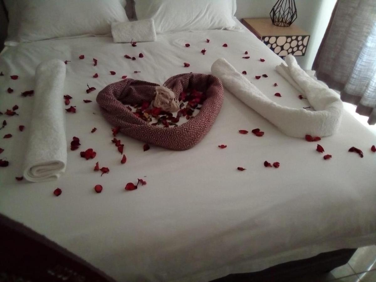 The Outlook Guest House Newcastle Extérieur photo